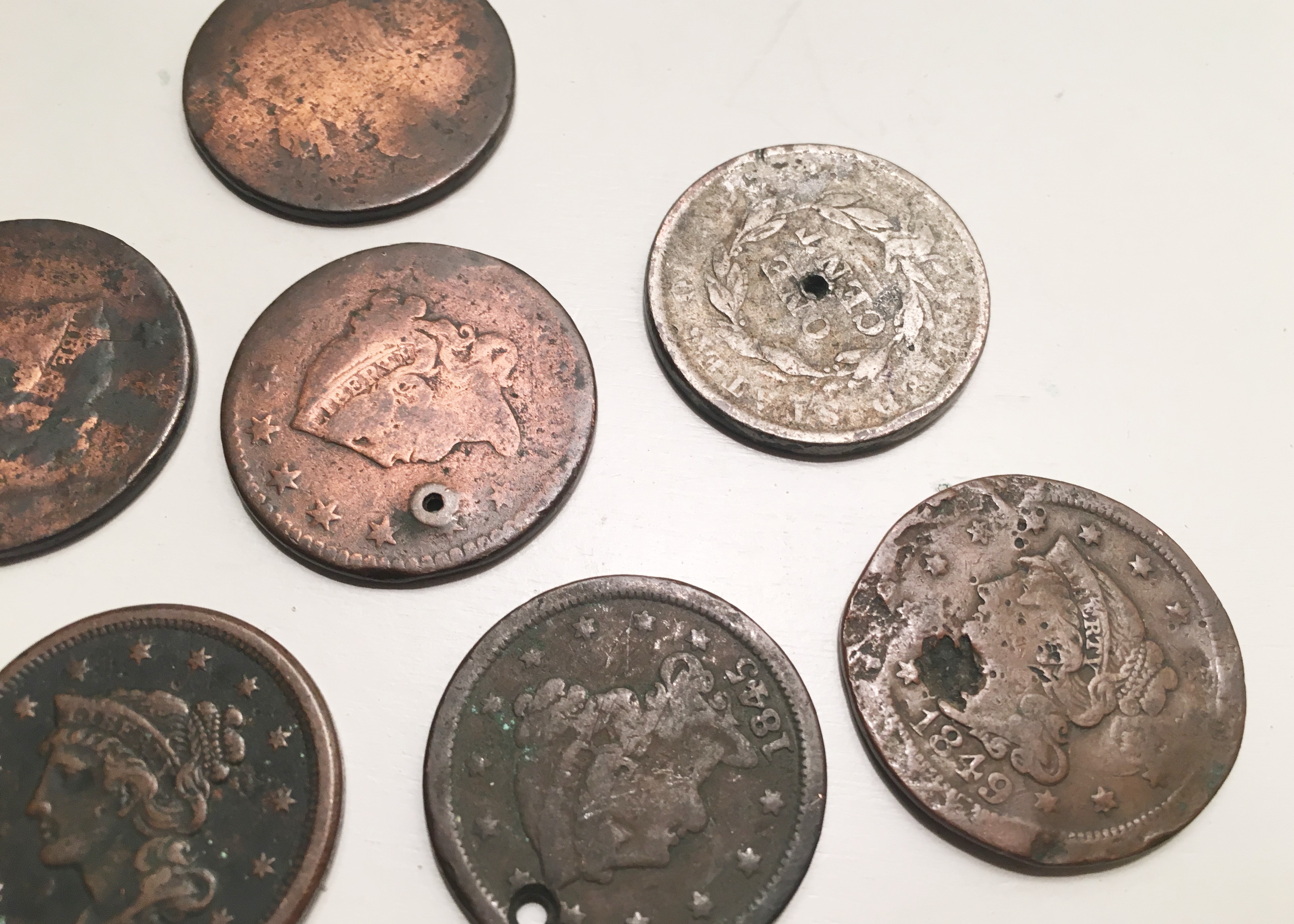 Eight 19th C. United States Large Cents