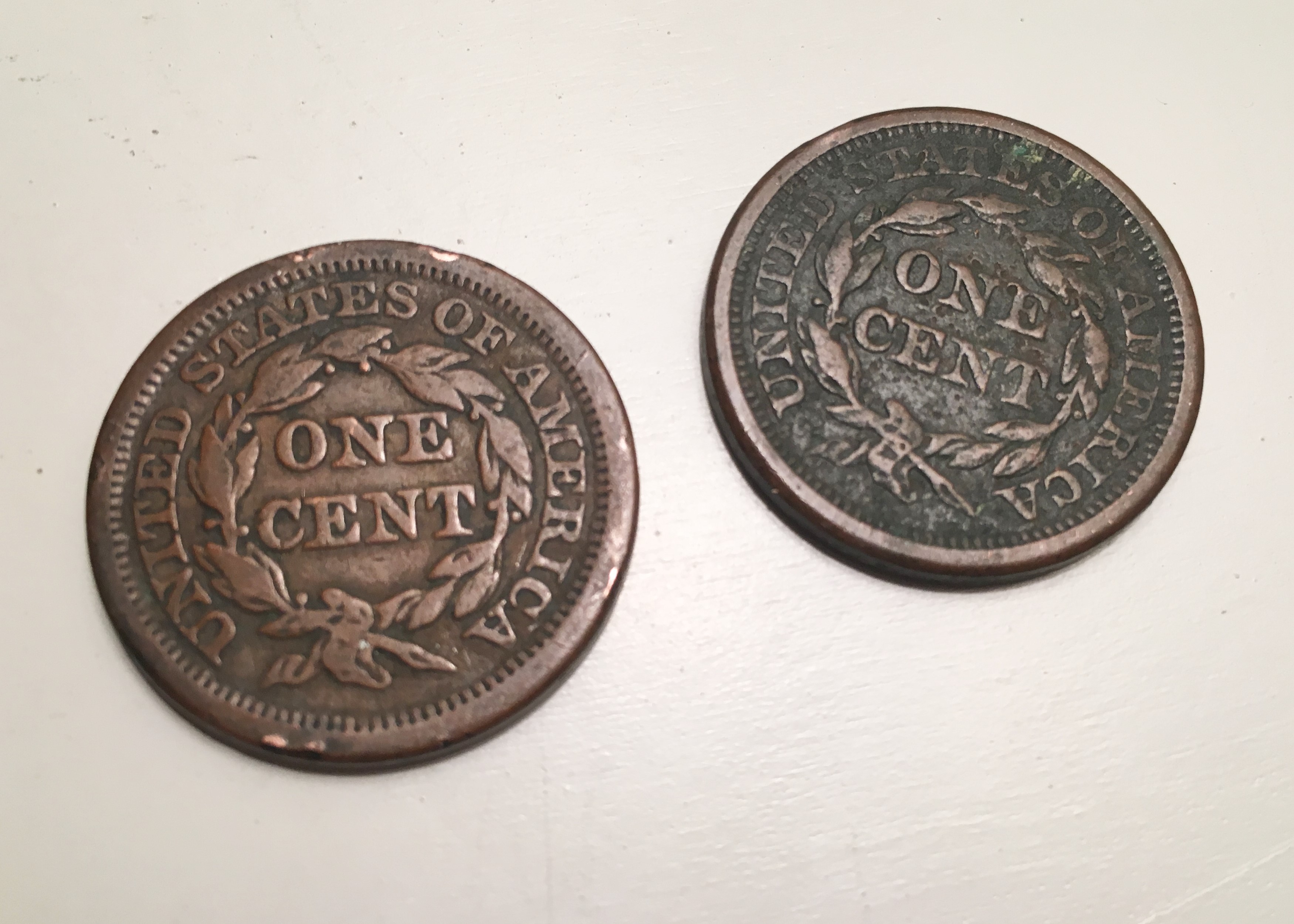 Eight 19th C. United States Large Cents