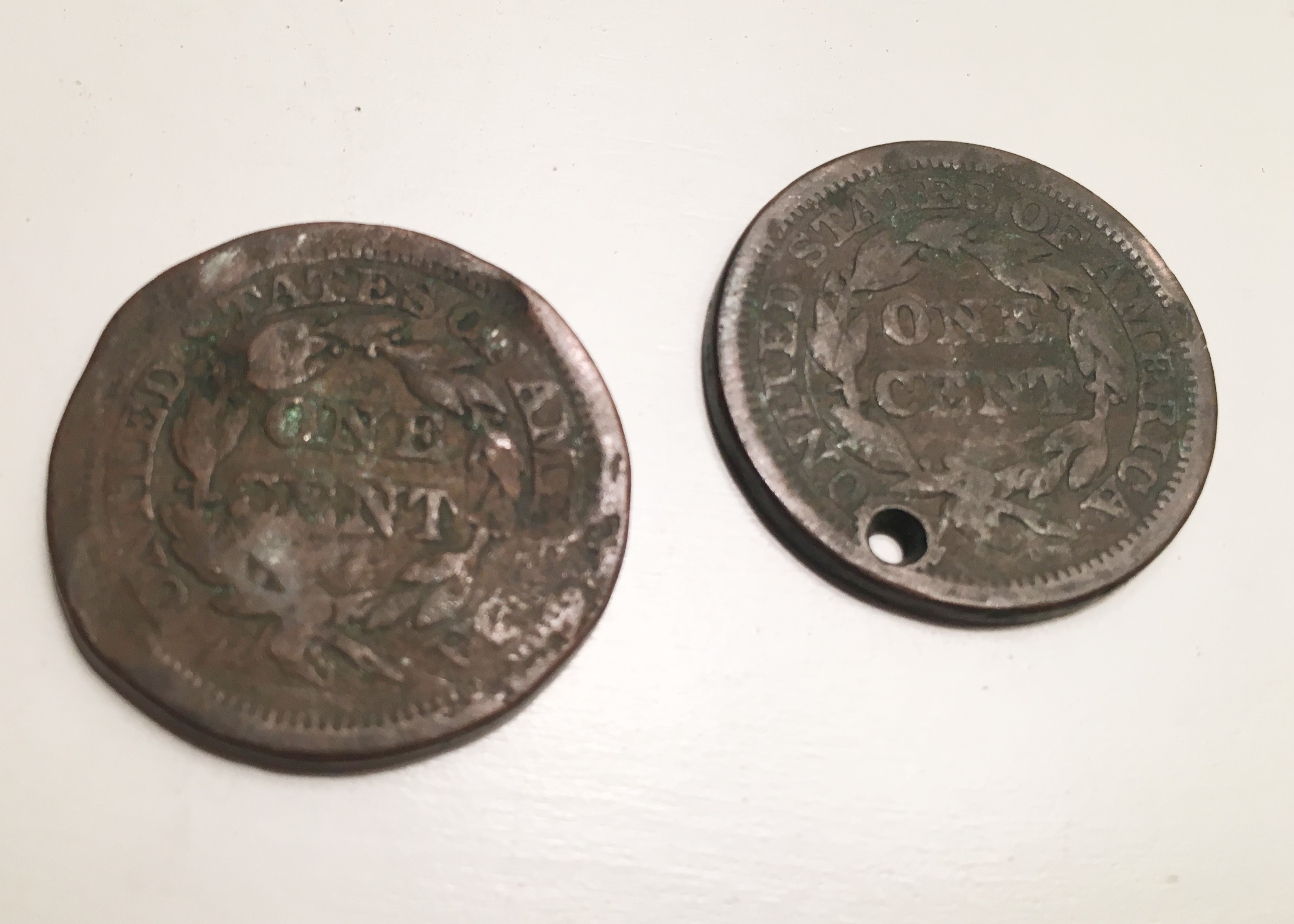 Eight 19th C. United States Large Cents