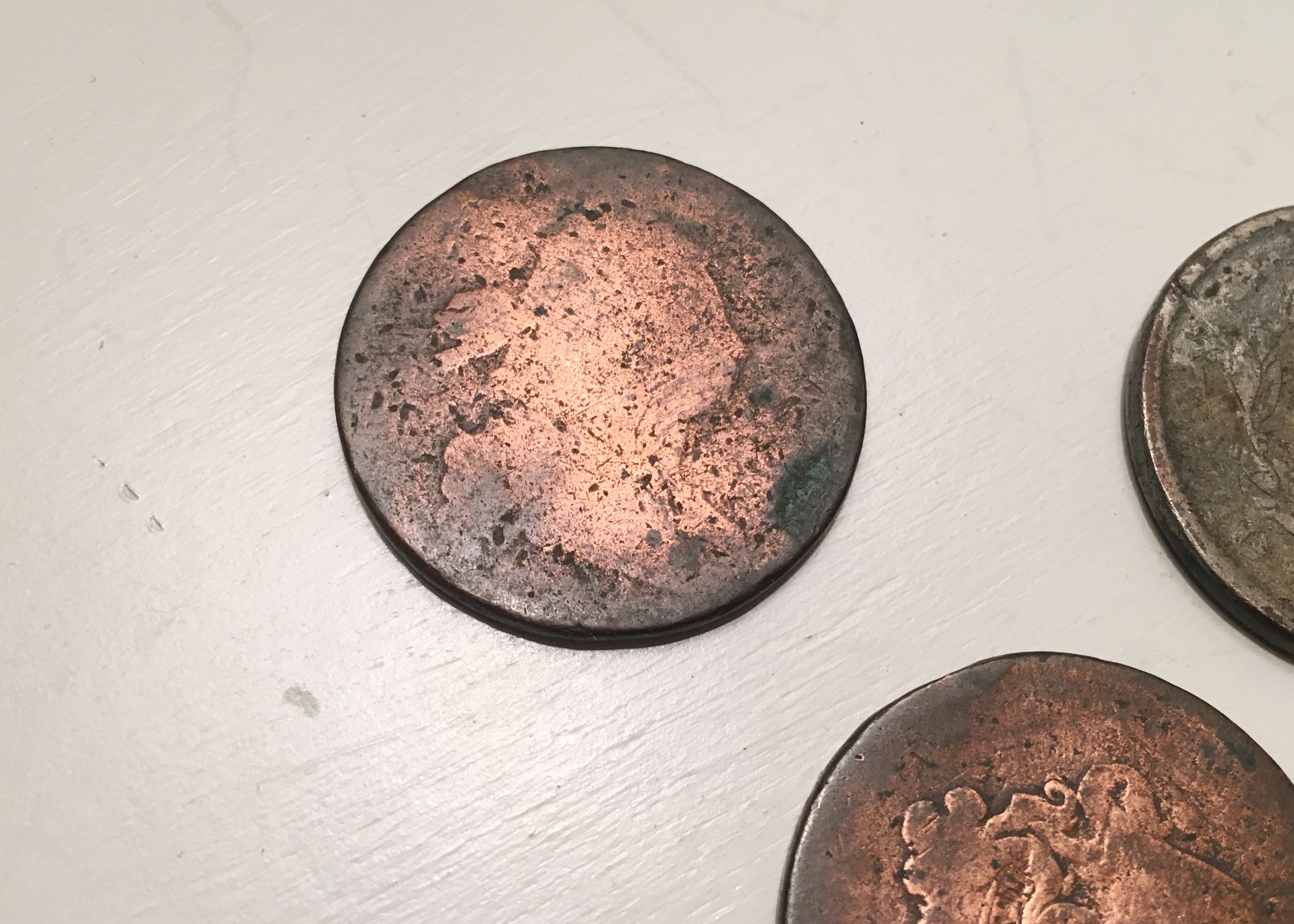 Eight 19th C. United States Large Cents