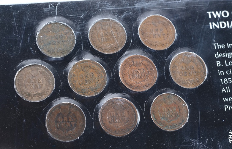 Group of (10) Indian Head Pennies