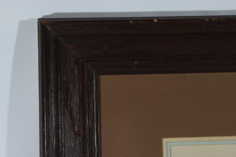 Longhorn Print in Wooden Frame