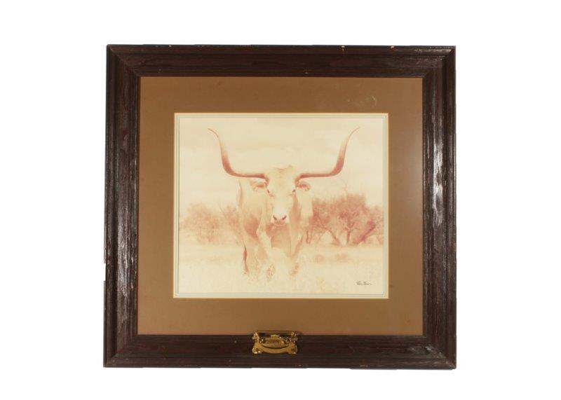 Longhorn Print in Wooden Frame