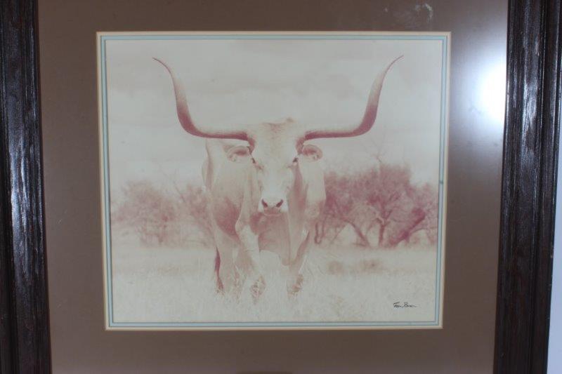 Longhorn Print in Wooden Frame