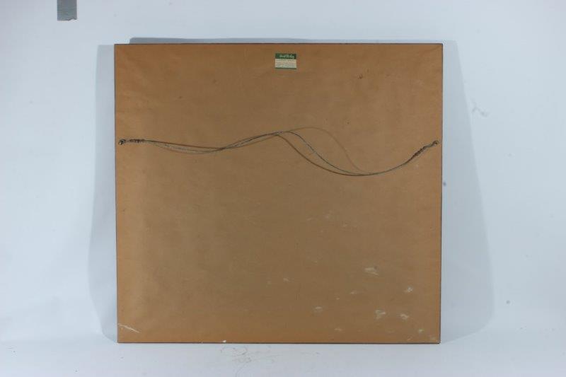 Longhorn Print in Wooden Frame