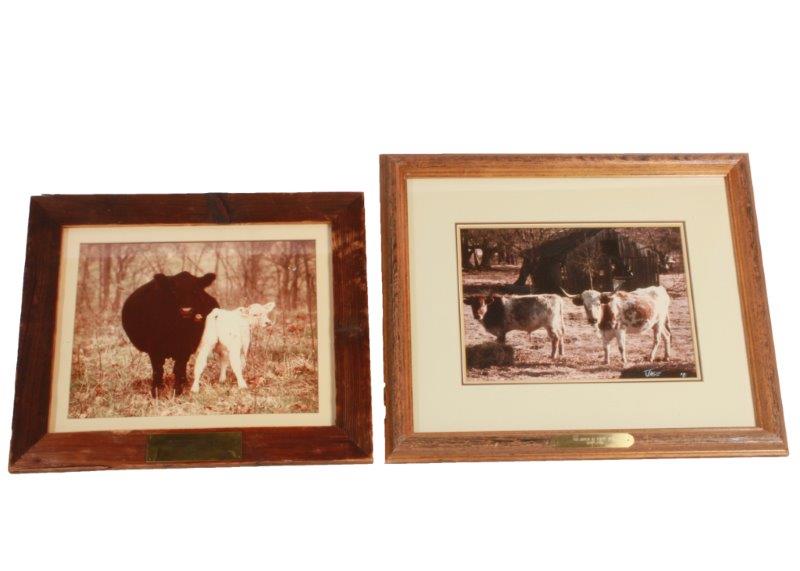 Pair of Cattle Prints
