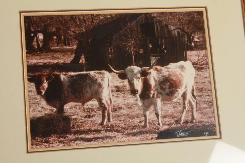 Pair of Cattle Prints