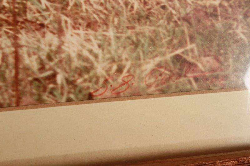 Pair of Cattle Prints