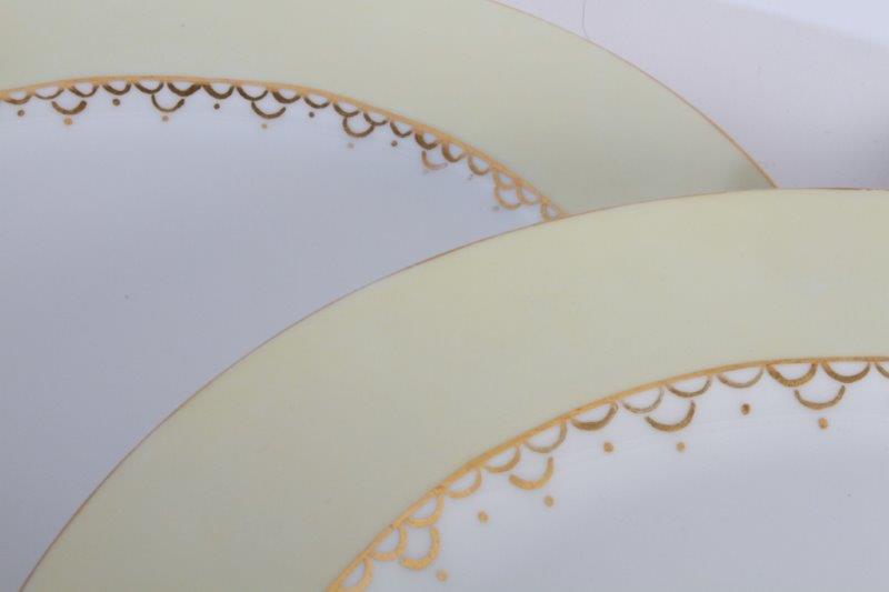 Set of Seven Haviland Dinner Plates