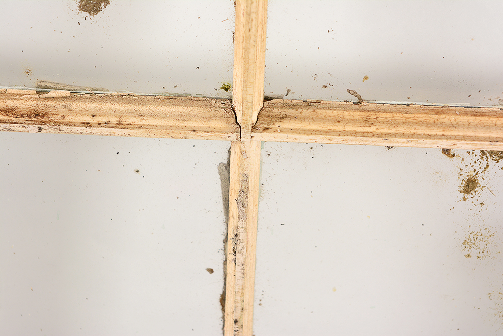 Vintage Salvaged Schoolhouse Windows