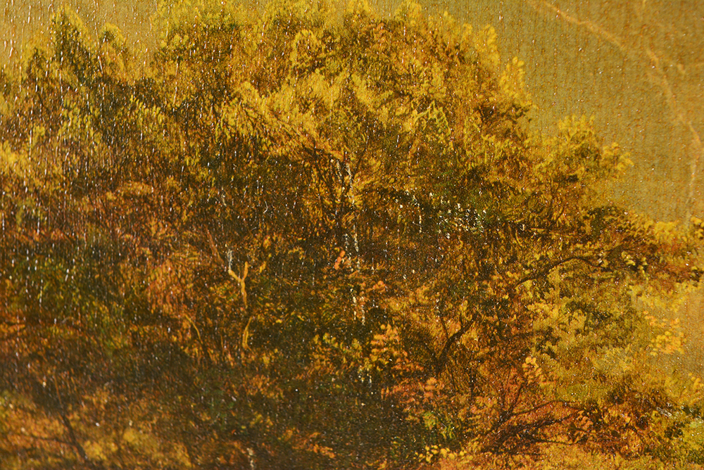 Framed Landscape 'Reofect Painting'