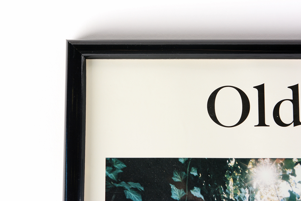 Old Louisville Photography Poster