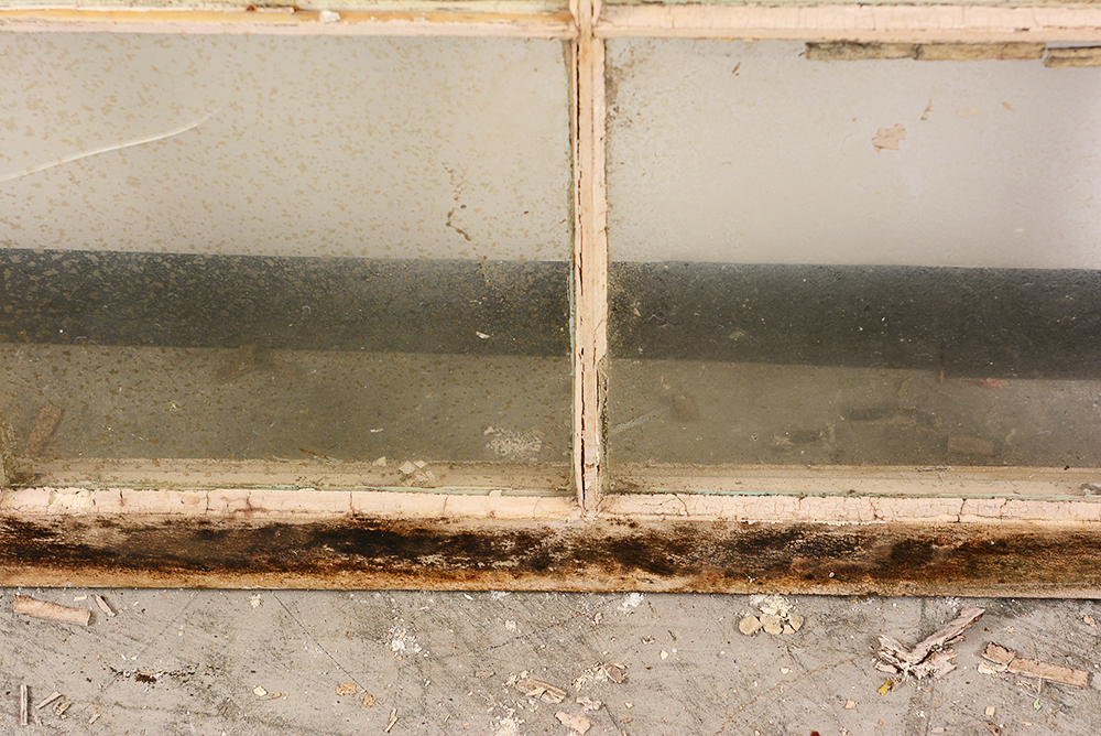 Vintage Salvaged Schoolhouse Windows