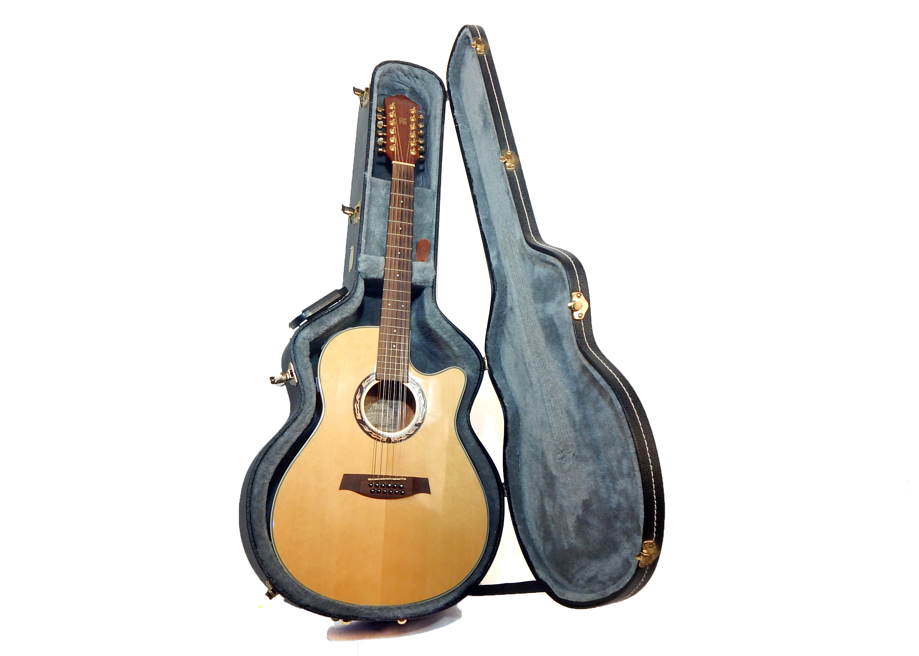 Ibanez AEF18 Twelve String Acoustic/Electric Guitar With Case