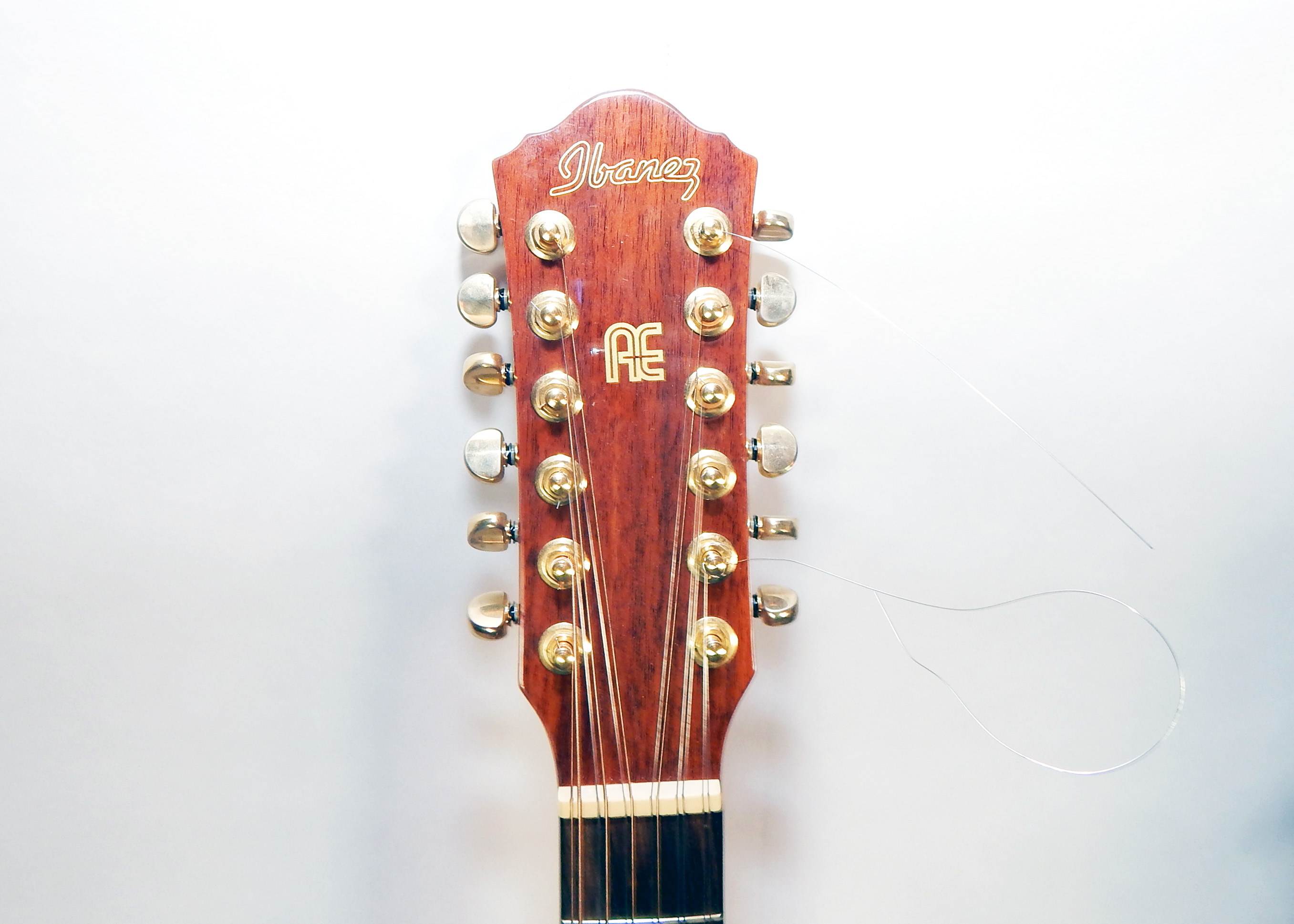 Ibanez AEF18 Twelve String Acoustic/Electric Guitar With Case