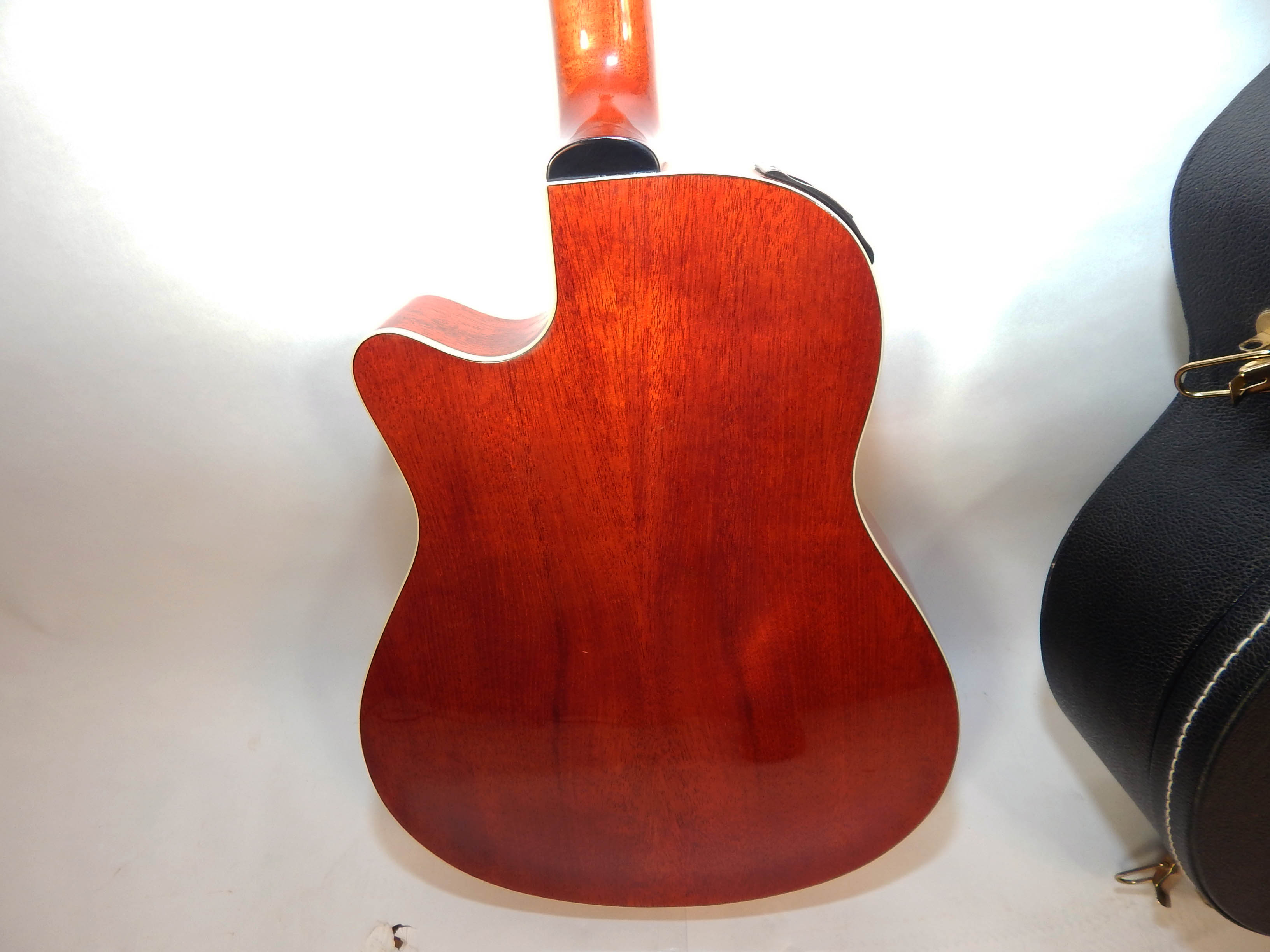 Ibanez AEF18 Twelve String Acoustic/Electric Guitar With Case