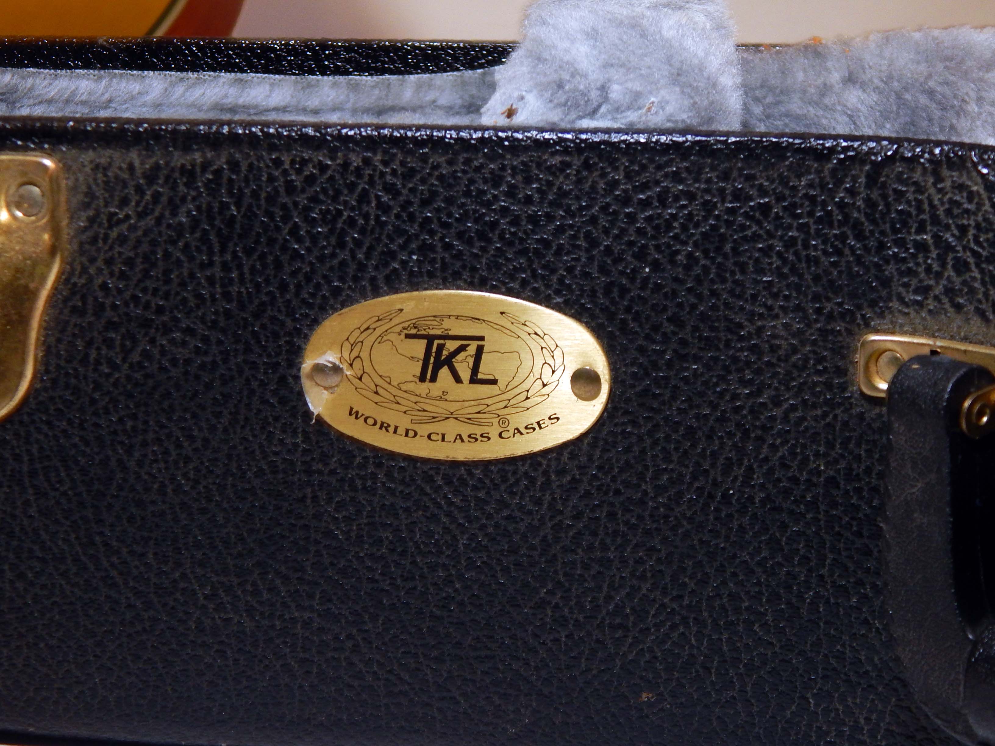 Ibanez AEF18 Twelve String Acoustic/Electric Guitar With Case