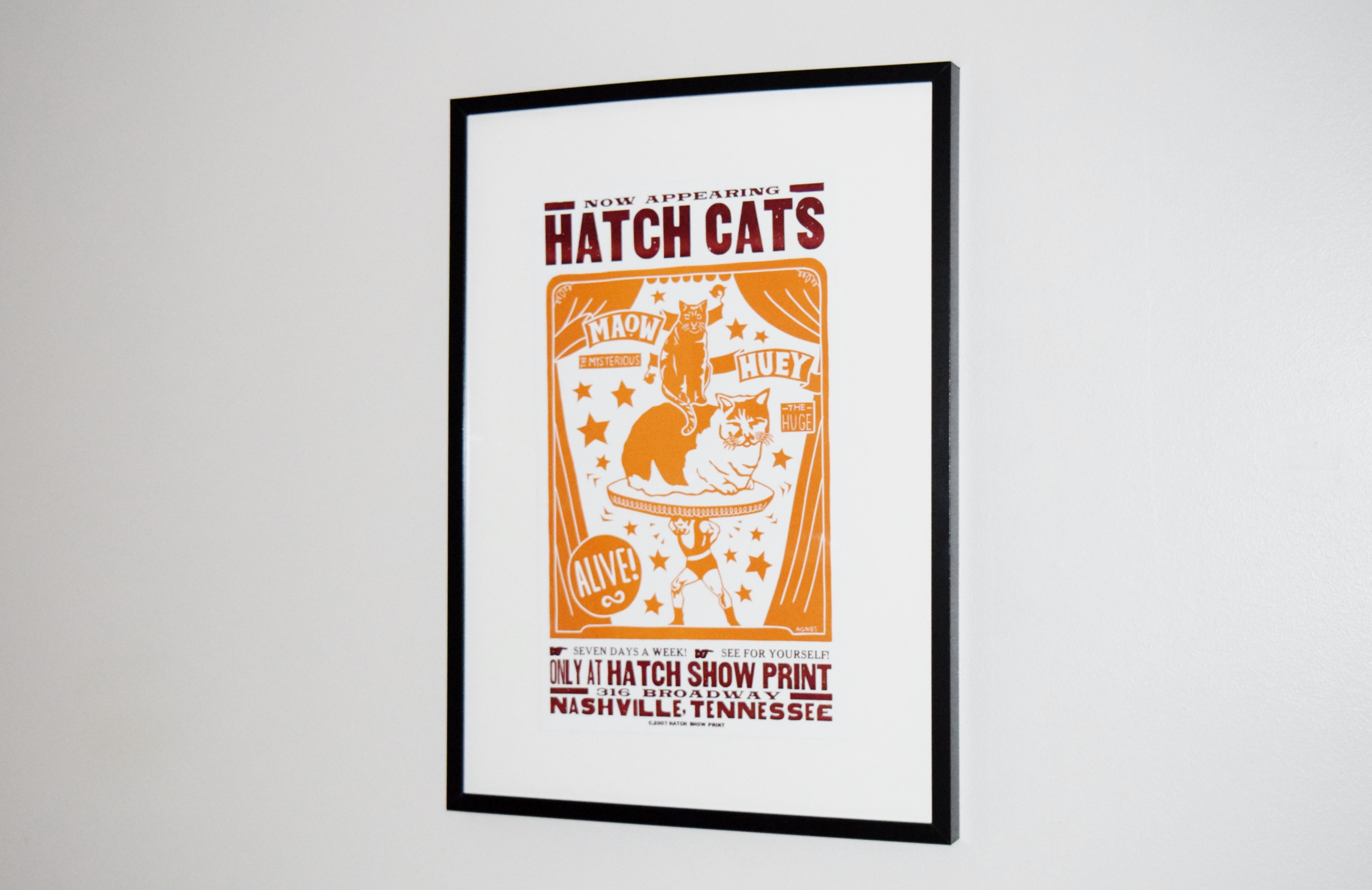 Hatch Show Print Co. Framed Poster "Hatch Cats"