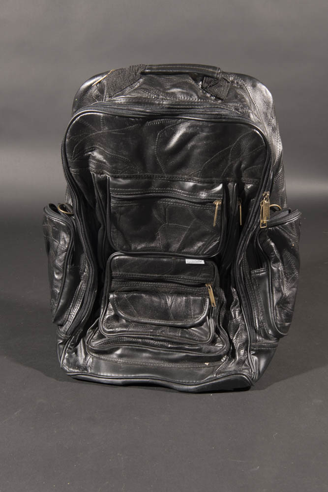 Collection of Travel and Carrying Bags