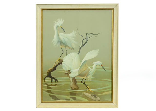 1950s Snowy Egret Print