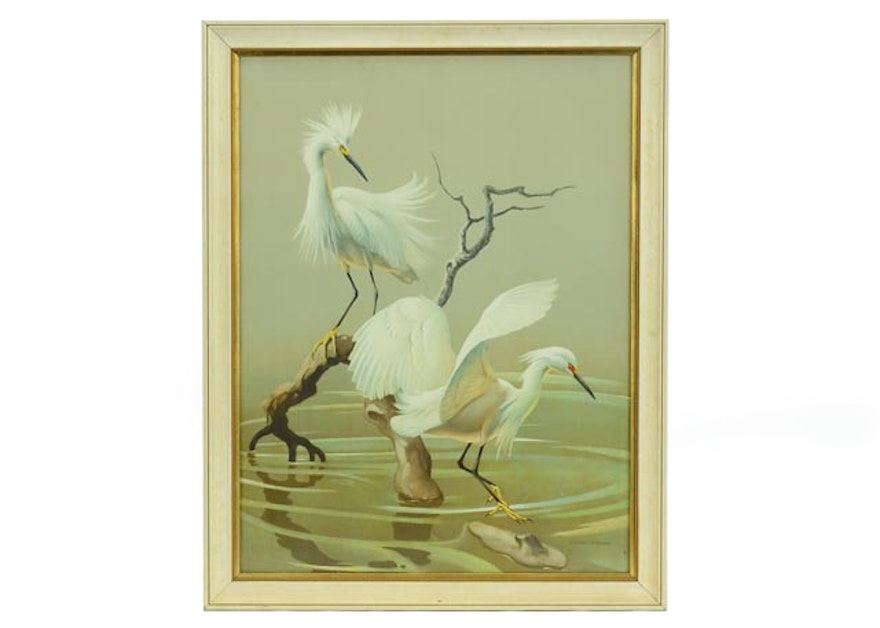 Snowy Egret print
