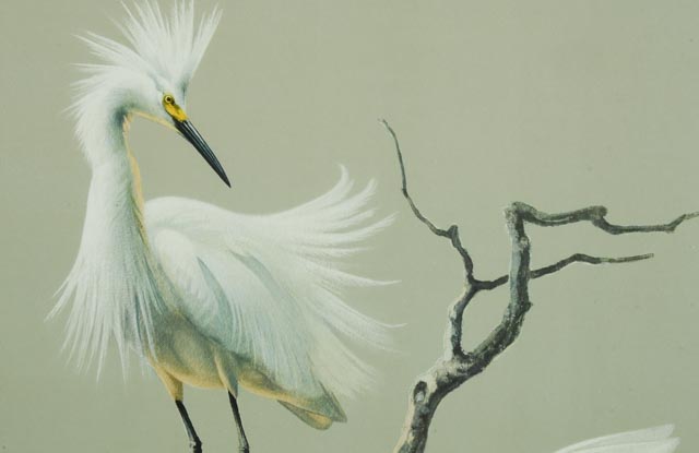 1950s Snowy Egret Print