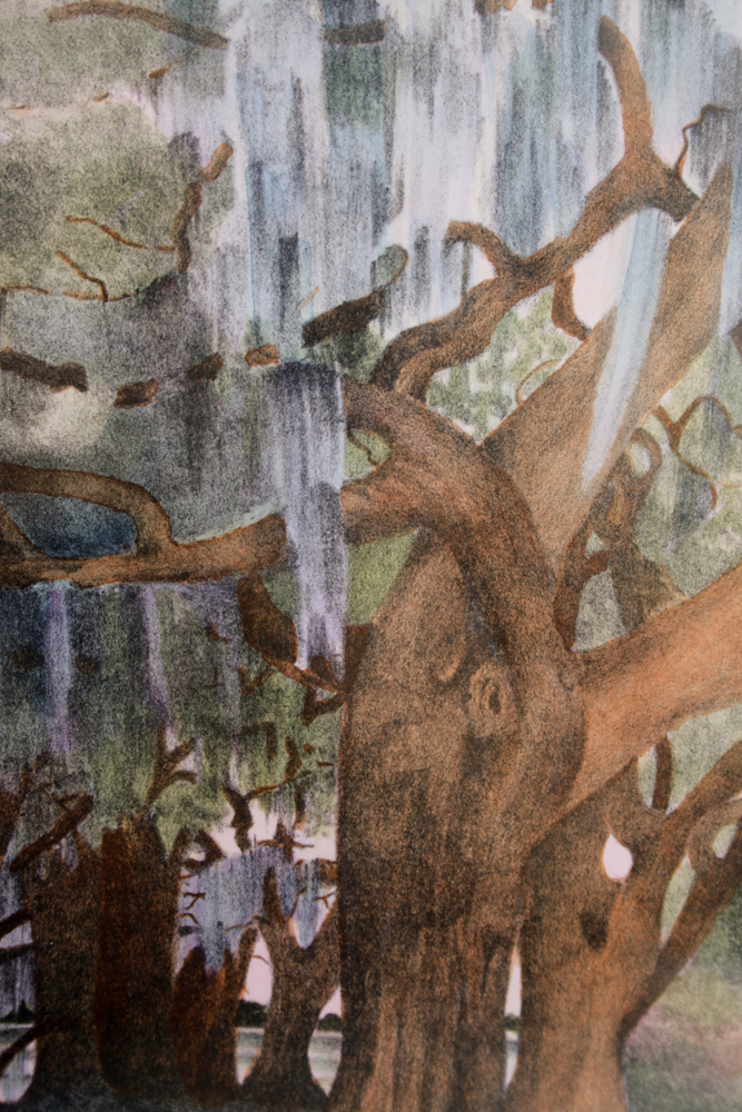 Carol Hammett Signed A/P Hand-colored Lithograph Of Southern Live Oaks