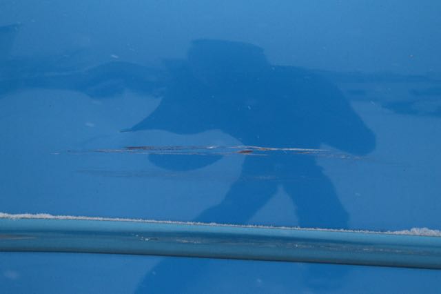 2007 Limited Edition M-Theory Toyota Matrix