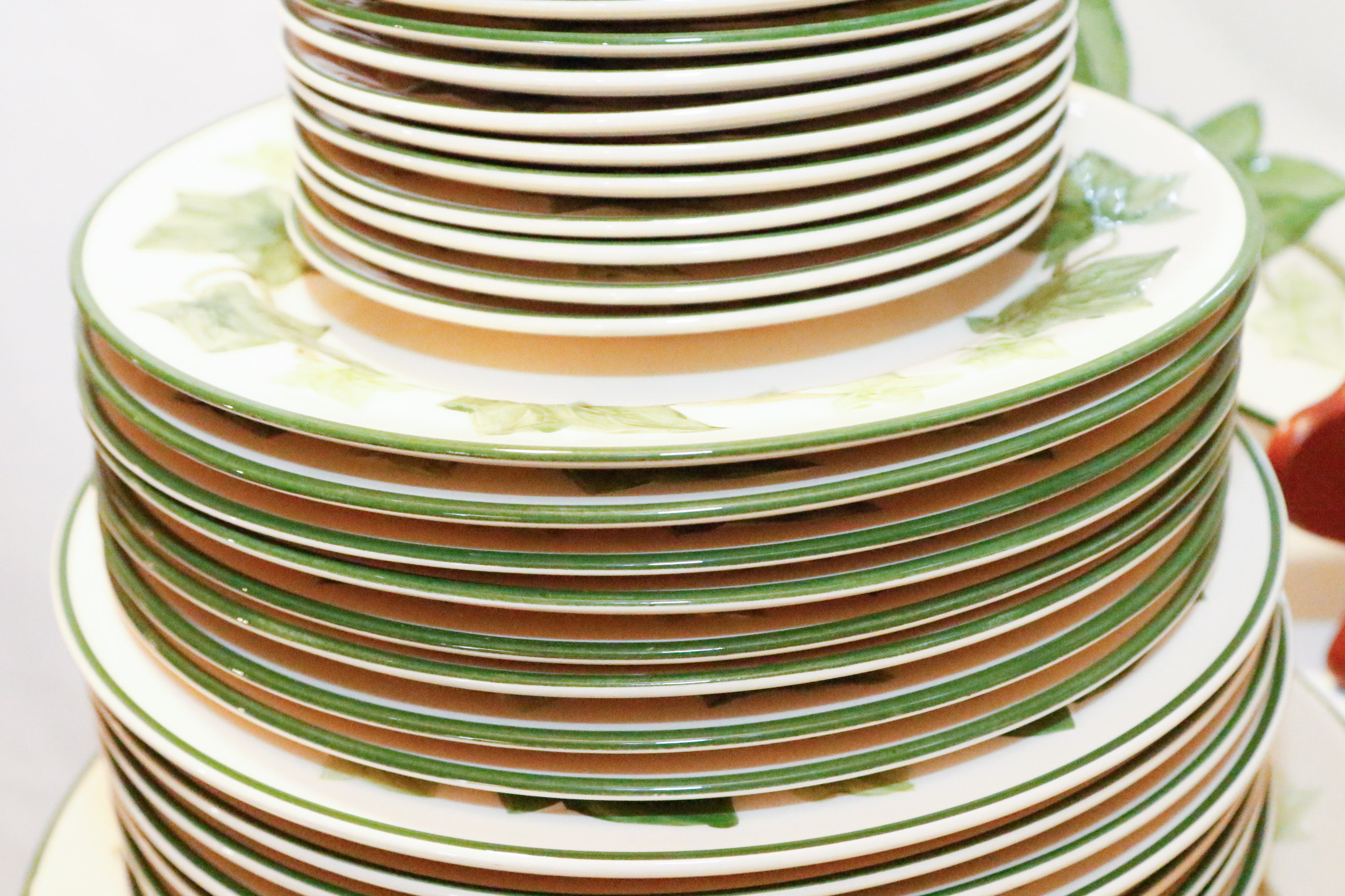 Franciscan "Ivy" Pattern Dinnerware