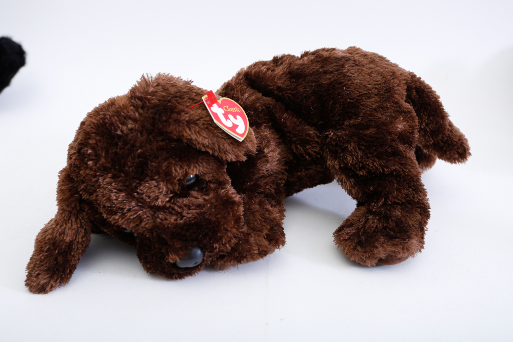 Ty Beanie Babies Collection including Princess Di