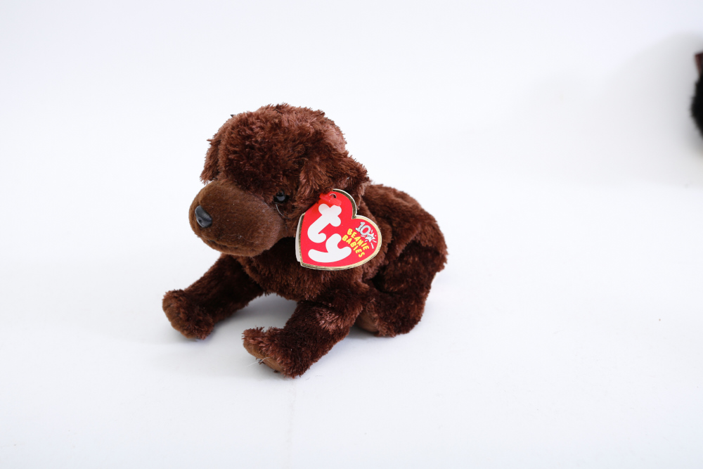 Ty Beanie Babies Collection including Princess Di