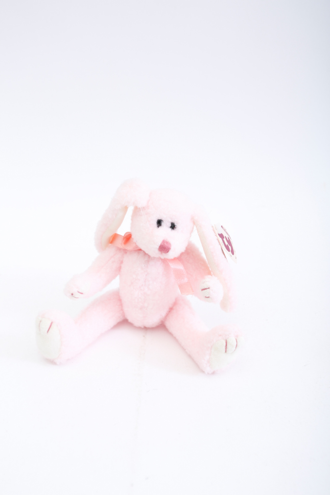 Ty Beanie Babies Collection including Princess Di