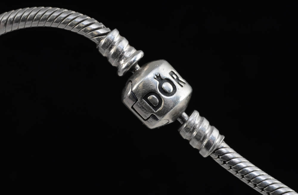 Sterling Silver Pandora Bracelet