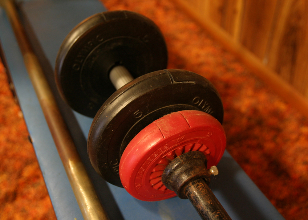Weight Bench with Weights