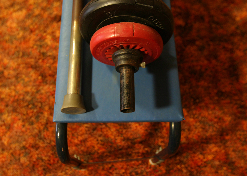 Weight Bench with Weights