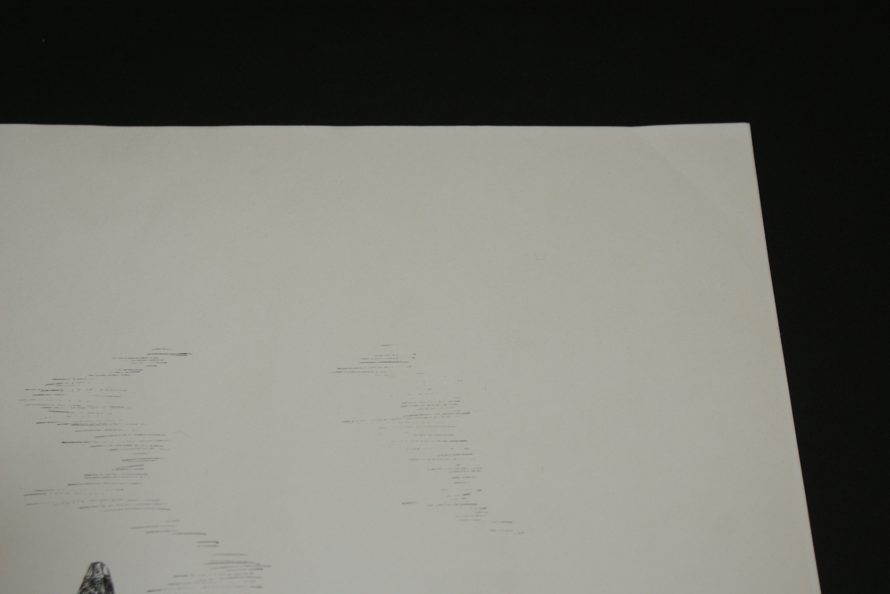 Geneva South 1976 Lithograph