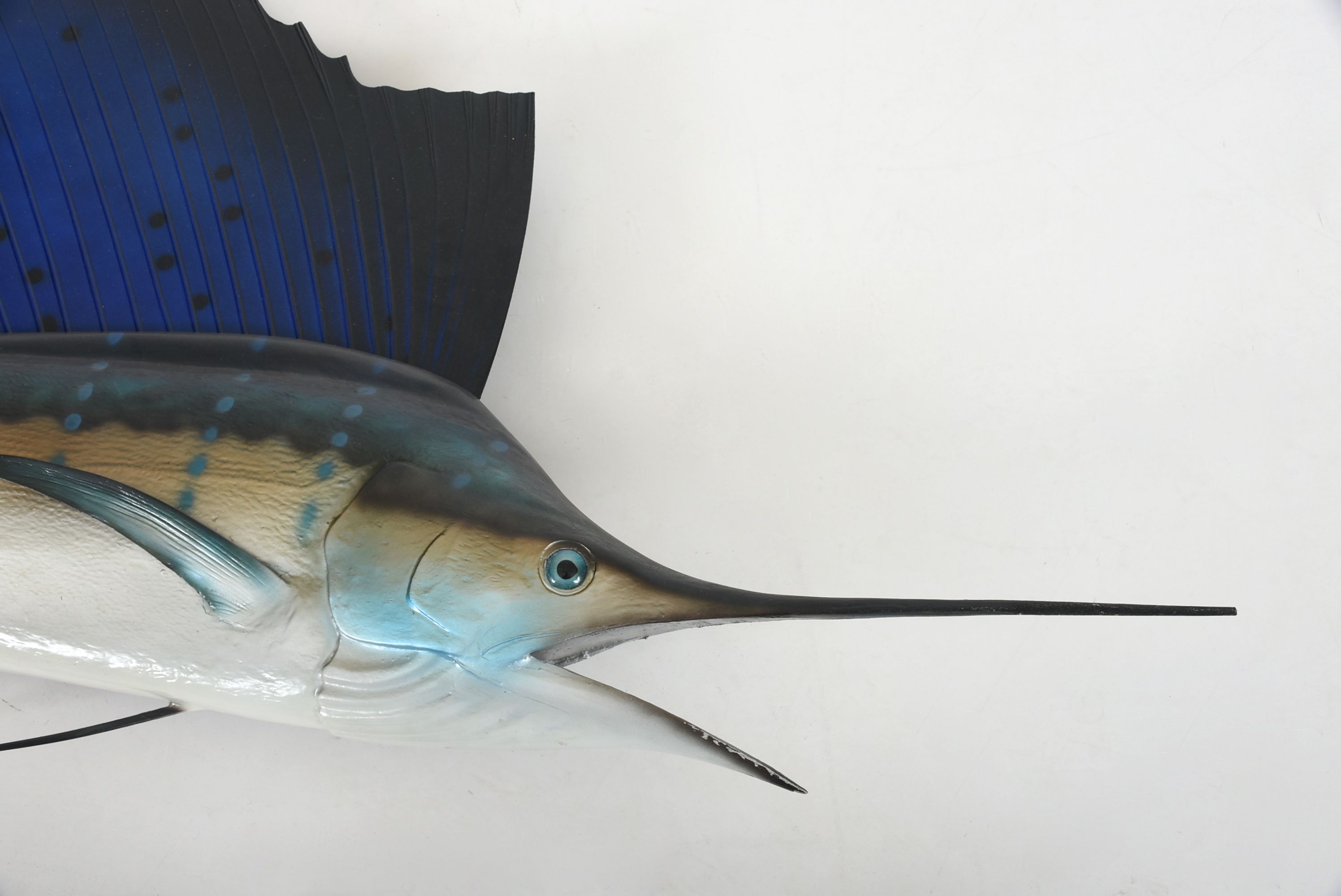 Mounted Sailfish Trophy