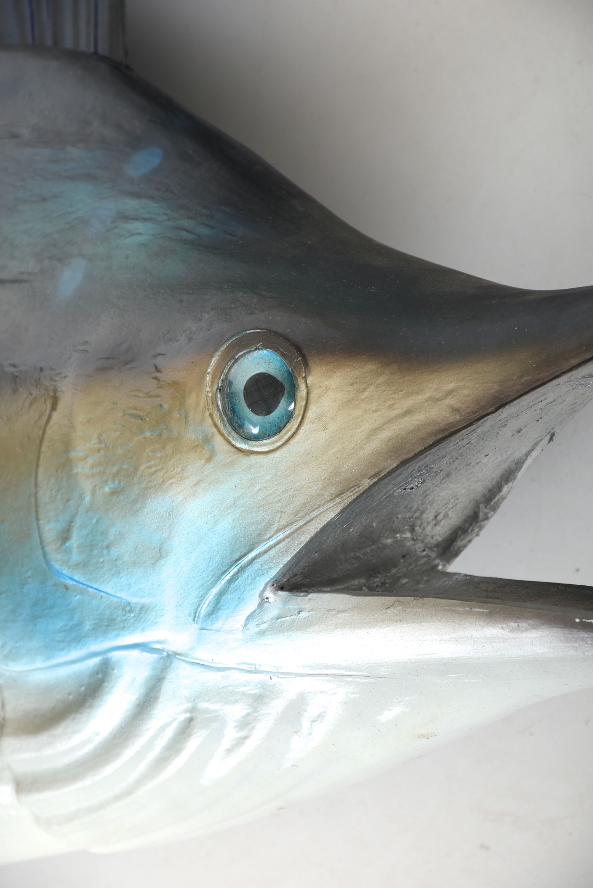 Mounted Sailfish Trophy