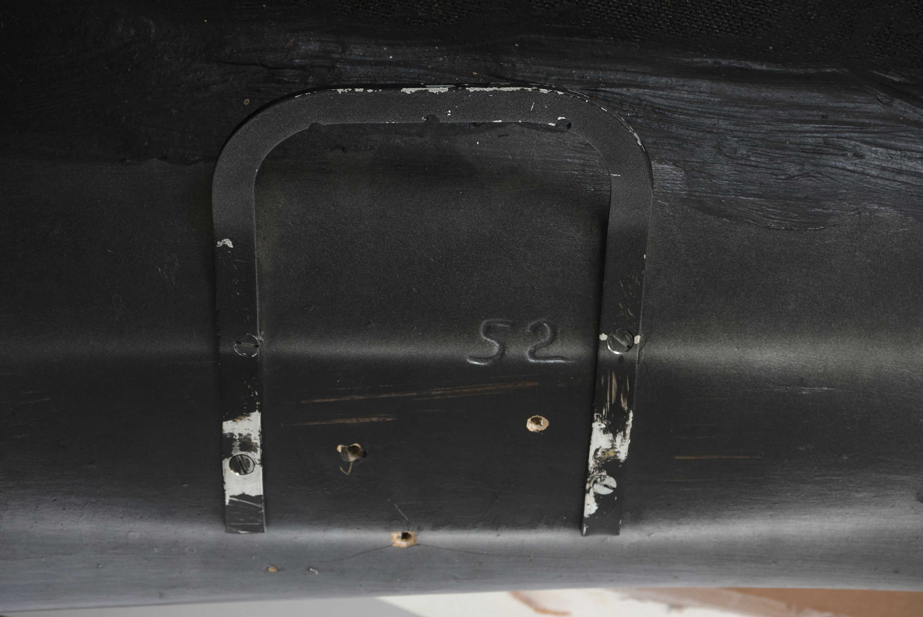 Mounted Sailfish Trophy