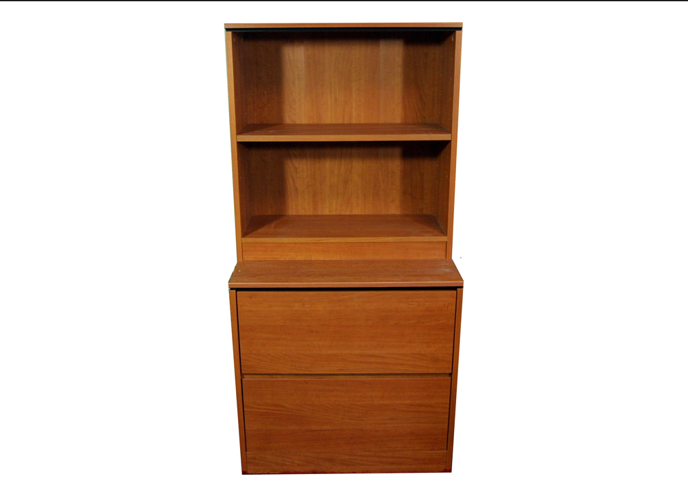 Filing Cabinet and Shelving Unit