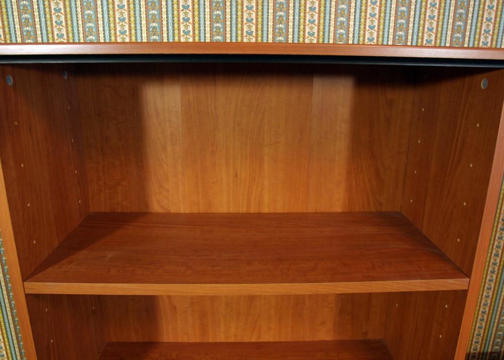 Filing Cabinet and Shelving Unit