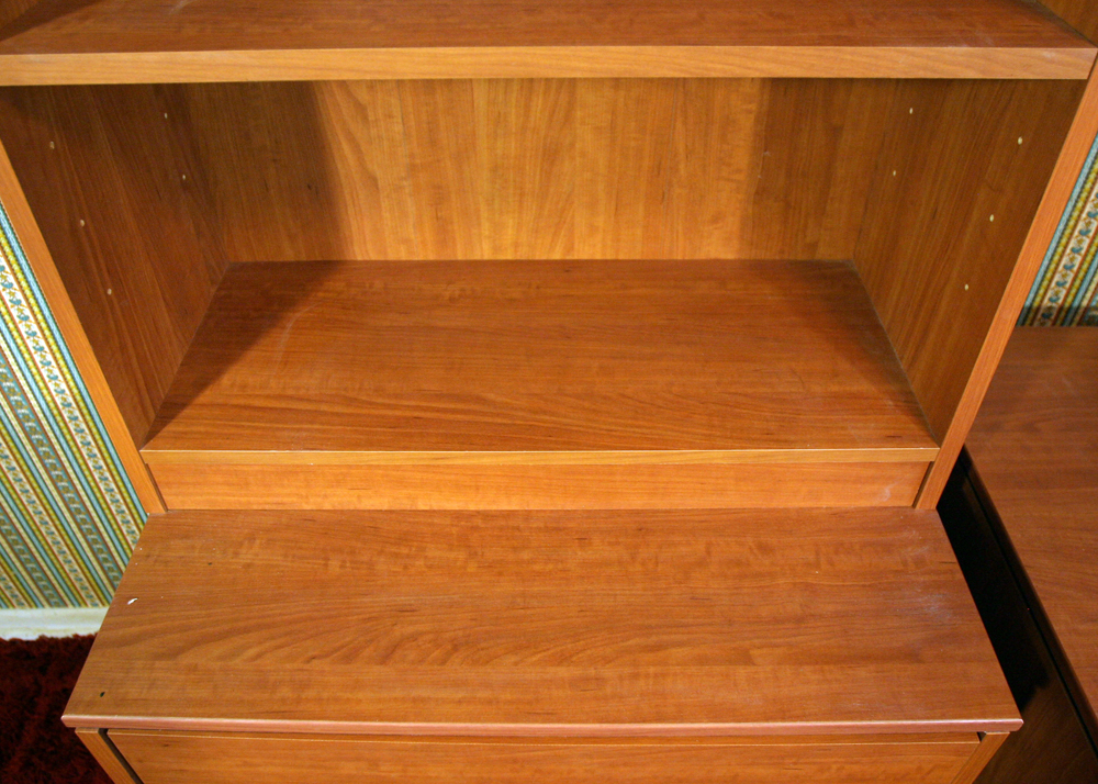 Filing Cabinet and Shelving Unit