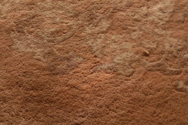 Handwoven Wool Pile Beige Area Rug