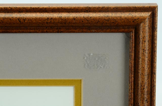 Ray Harm Print "Cooper's Hawk"