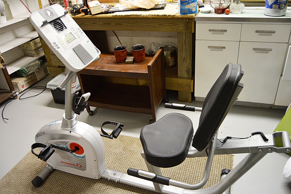 Schwinn Bio-Fit BioDyne Exercise Bike