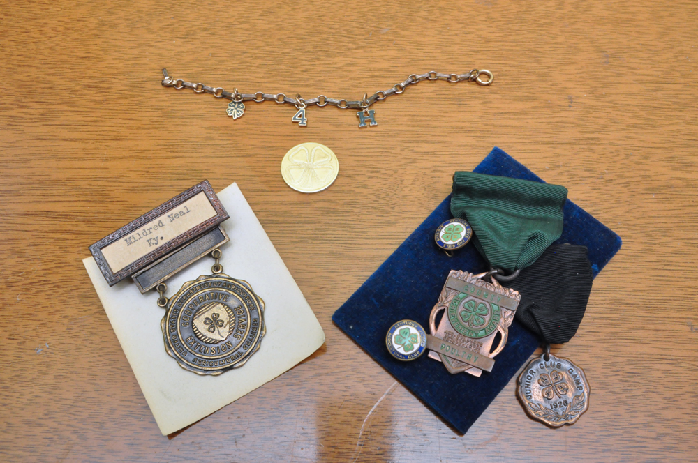 Vintage 4H Pins and Memorabilia