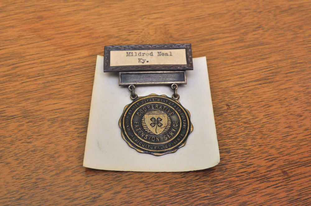 Vintage 4H Pins and Memorabilia