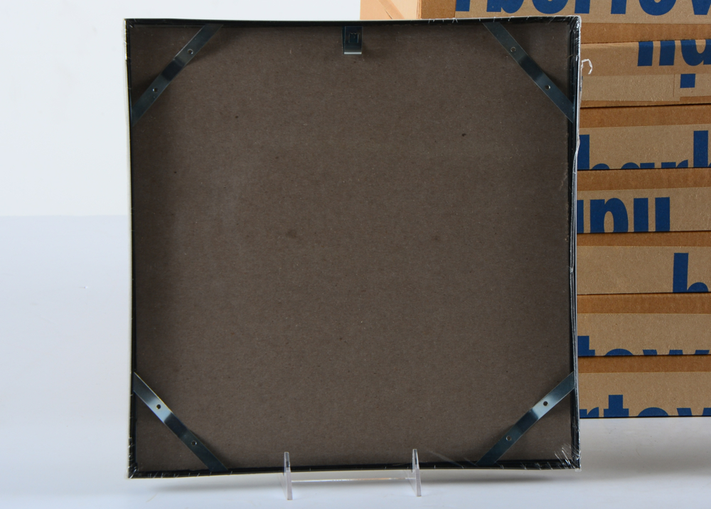 Sixteen Record Album Frames