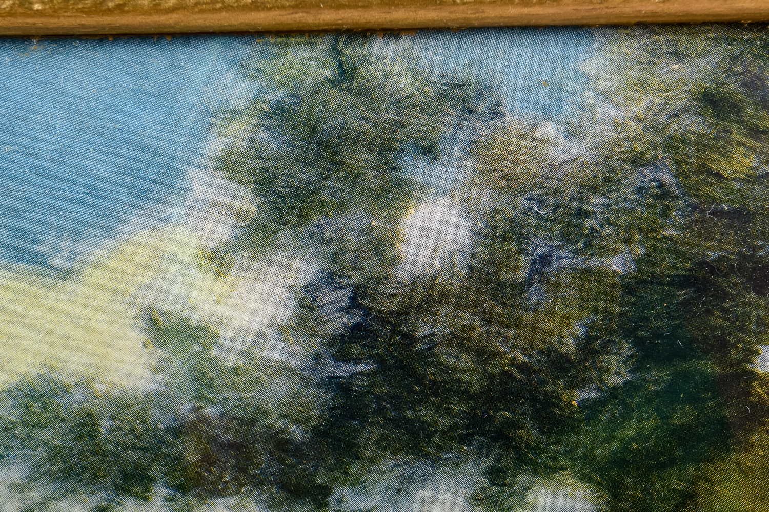 Pair of Vintage R. Atkinson Fox Prints