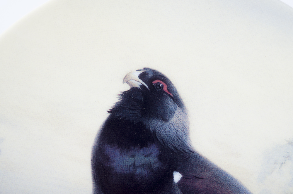 Set of Bradford Exchange "Our Magnificent Game Birds"  Art Plates